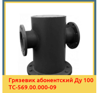 Грязевик абонентский Ду 100 ТС-569.00.000-09 в Караколе